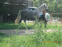 CIMG0087.JPG