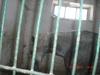 CIMG0089.JPG