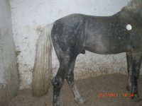 CIMG0092.JPG