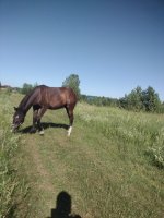 IMG_20260701_092032.jpg