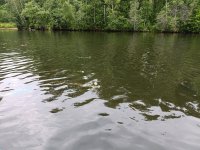 IMG_20260629_132926.jpg