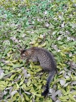 IMG_20260703_171359.jpg