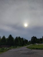 10063.jpg