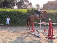 IMG_9178.jpeg