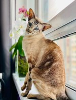 IMG_2027.jpeg
