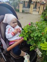 IMG_20260704_162755.jpg