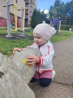 IMG_20260704_163746.jpg