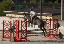 IMG_9162.jpeg