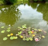 IMG_3374.jpeg