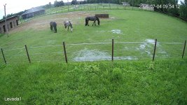 IMG_3542.jpeg