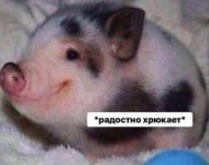 1000223388.jpg