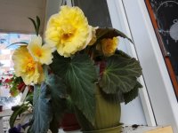 IMG_20260628_100732.jpg