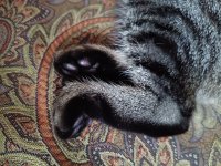 IMG_20260702_175621.jpg