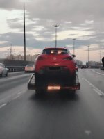 1000027739.jpg