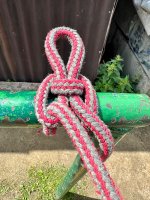 IMG_9205.jpeg