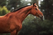 03BvQHNQ252jTSS1HtPVWbRMDyVm6CKHIF8pmbRv7y27EEzjto8Cr6x1iuCTEW7Dnt892KzpYcO89VAnTNK0P1vP.jpg