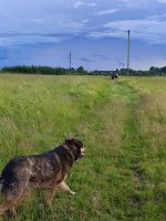 IMG_20260706_182609.jpg