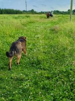 IMG_20260706_182642.jpg