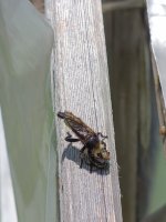 IMG_20260707_124635.jpg