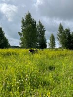 IMG_1073.jpeg