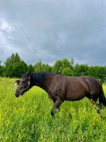 IMG_1085.jpeg