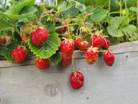 20260708_070819.jpg