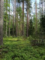 IMG_20260708_143546.jpg