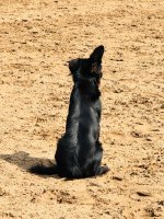 IMG_9232.jpeg