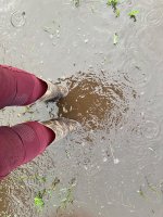 IMG_9243.jpeg