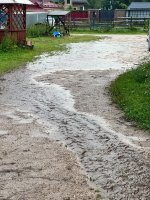 IMG_9246.jpeg