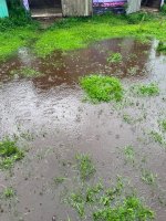 IMG_9242.jpeg