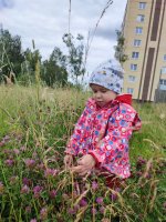 IMG_20260709_140935.jpg