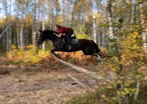 IMG_9037.jpeg