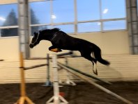 IMG_8400.jpeg