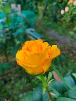 IMG20260711162029.jpg
