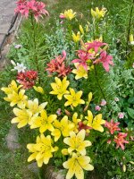 IMG_1014.jpeg