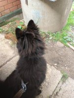 1000223732.jpg