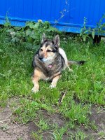 IMG_9284.jpeg
