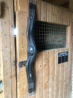 IMG_6611.jpeg