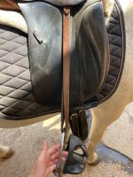 IMG_4195.jpeg