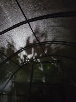 IMG_20260713_125251_198.jpg