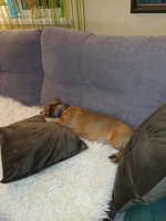 IMG_20260713_003030.jpg