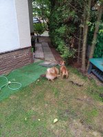 IMG_20260713_113129.jpg