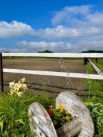 IMG_1179.jpeg