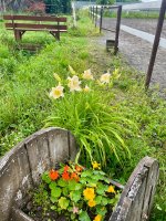IMG_1164.jpeg