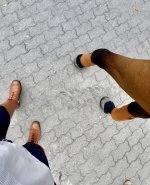 IMG_6384.jpeg