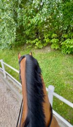 IMG_6386.jpeg