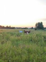 IMG_20260714_212406.jpg