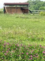IMG_1202.jpeg