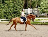 IMG_6435.jpeg